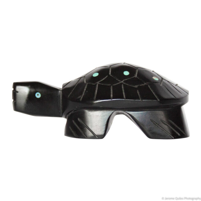 Black Turtle Zuni Carving - Image 4