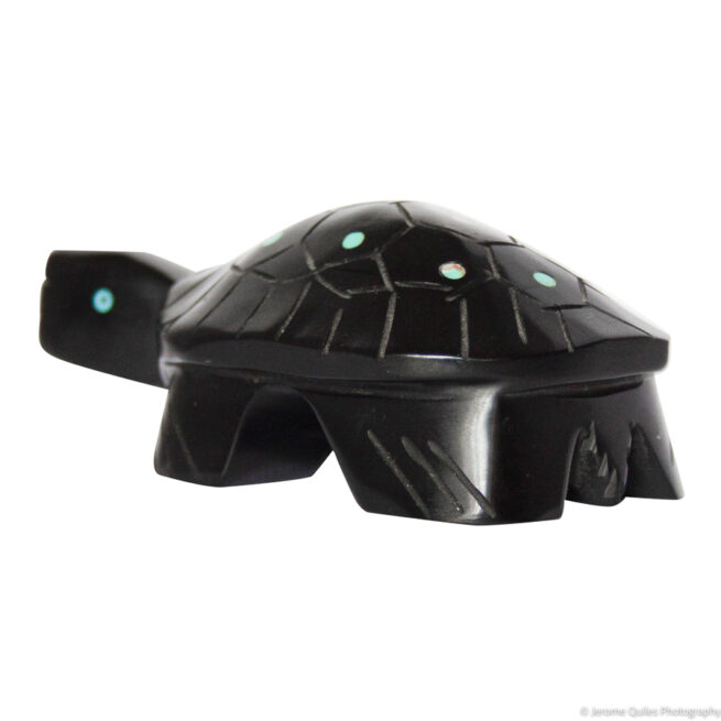 Black Turtle Zuni Carving - Image 5