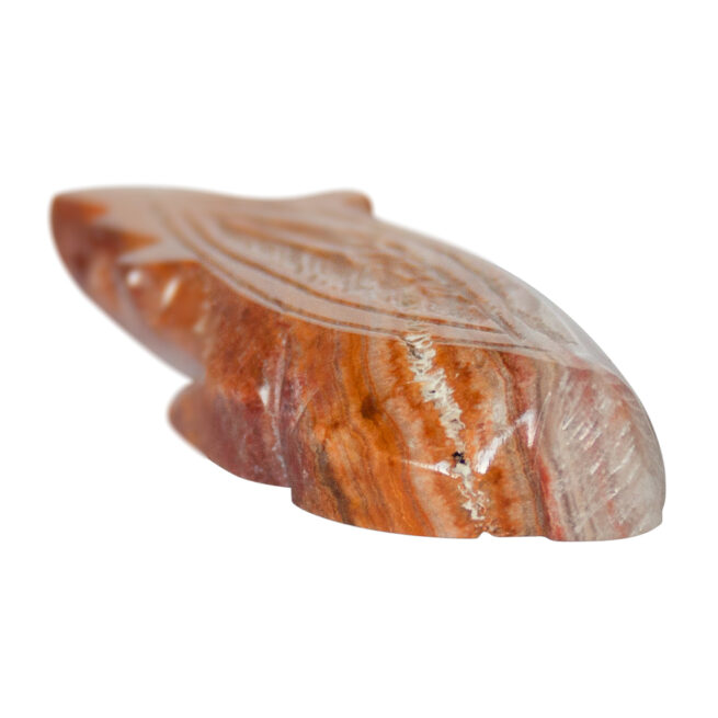 Small Badger Zuni Carving - Image 7