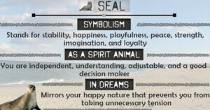 Seal Spirit Animal