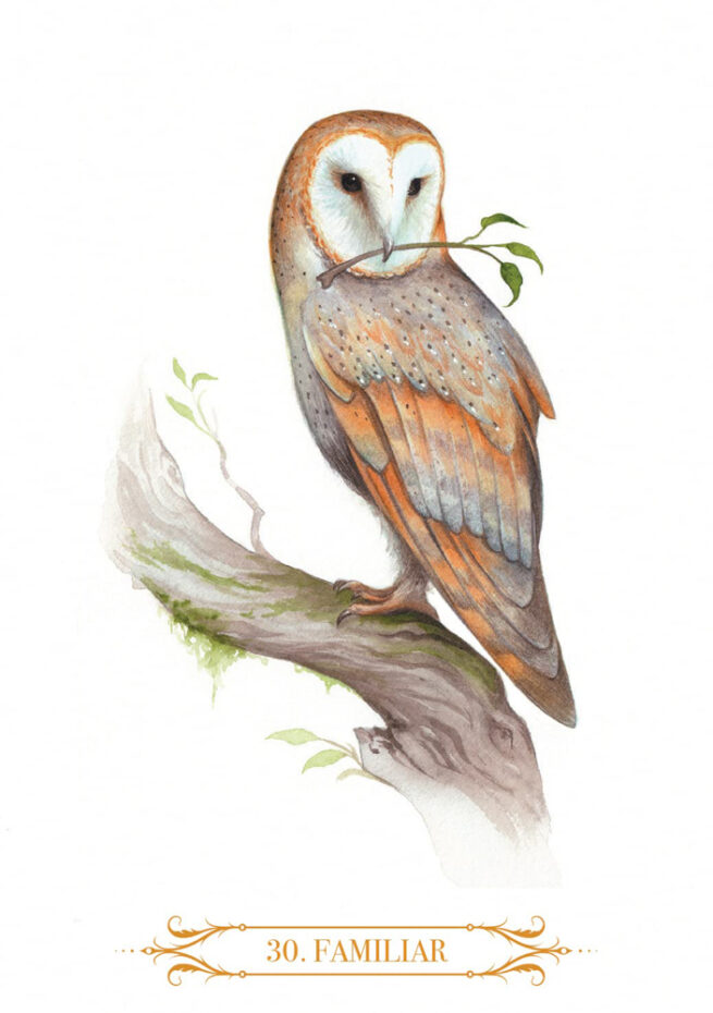 A Compendium of Witches Oracle - Nataša Ilinčić - Image 6