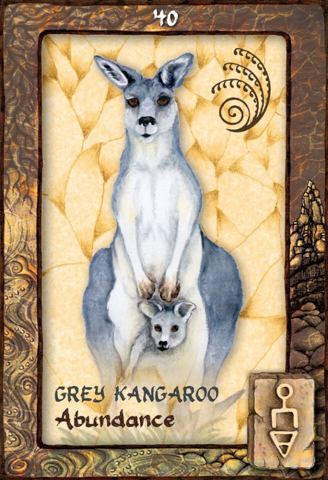 Animal Dreaming Oracle Cards - King / Branchflower - Image 4