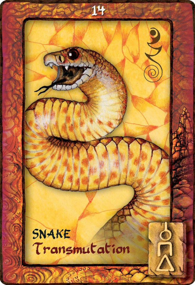 Animal Dreaming Oracle Cards - King / Branchflower - Image 6