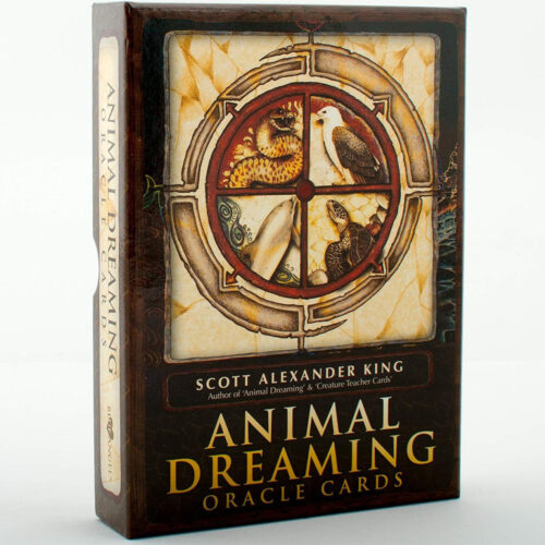 Animal Dreaming Oracle Cards - King / Branchflower
