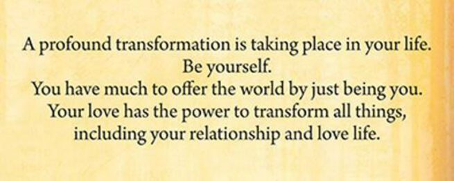 Soul Mate Cards - Toni Carmine Salerno - Image 3