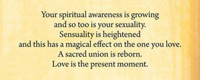 Soul Mate Cards - Toni Carmine Salerno - Image 2