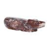 Abby Panteah Zuni Bear Carving - Image 3