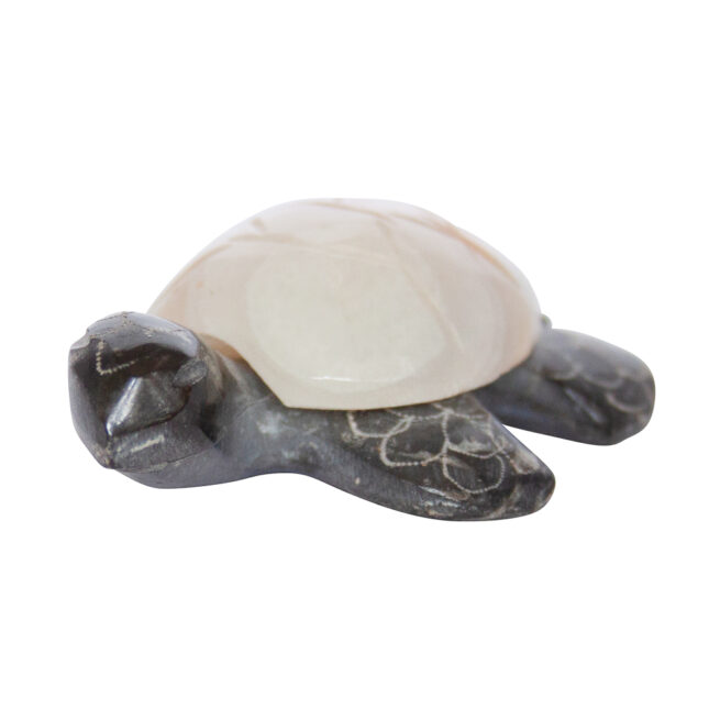Herbert Halate Zuni Turtle Carving - Image 6