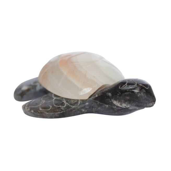 Herbert Halate Zuni Turtle Carving - Image 5