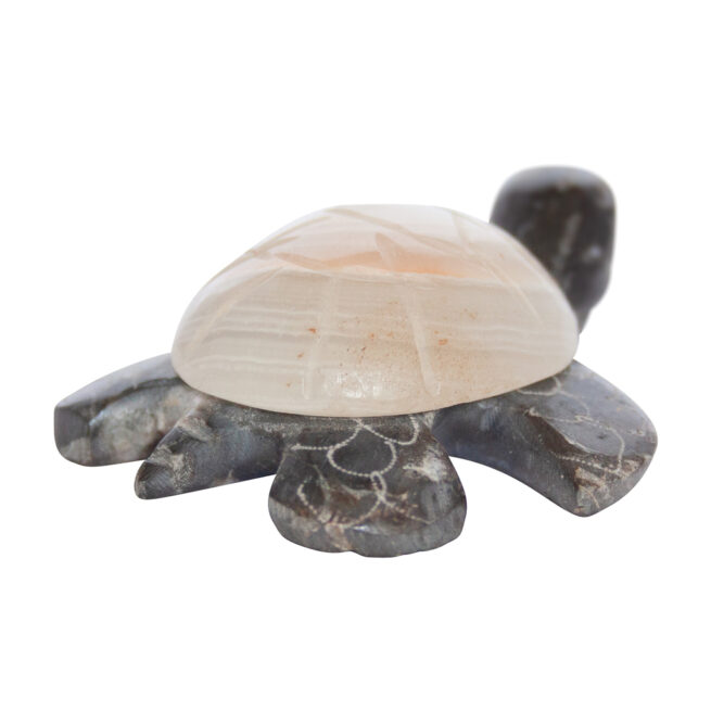 Herbert Halate Zuni Turtle Carving - Image 3