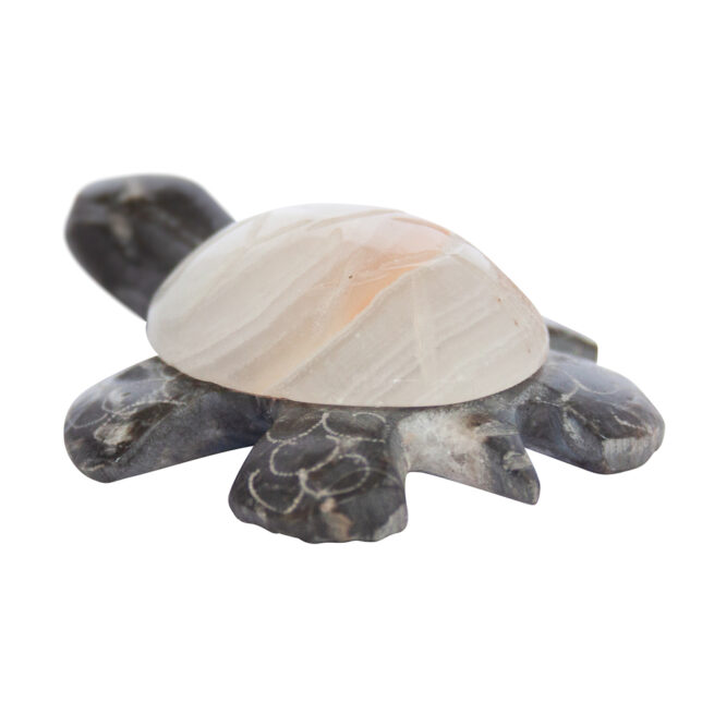 Herbert Halate Zuni Turtle Carving - Image 4