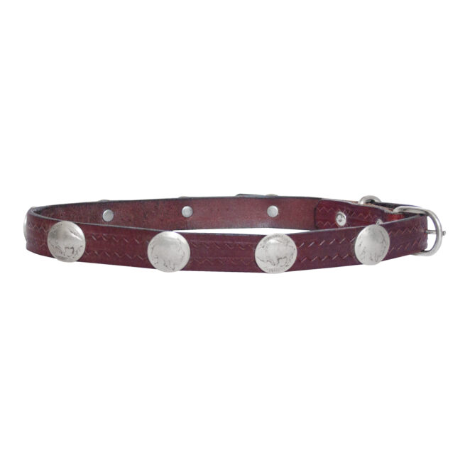 Large Santo Domingo Dark Leather Dog Collar - Image 2