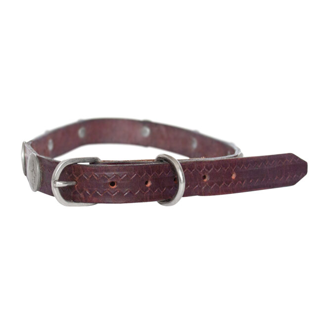Large Santo Domingo Dark Leather Dog Collar - Image 4