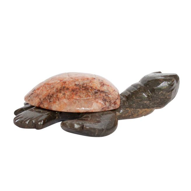 Herbert Halate Turtle - Large - Image 3