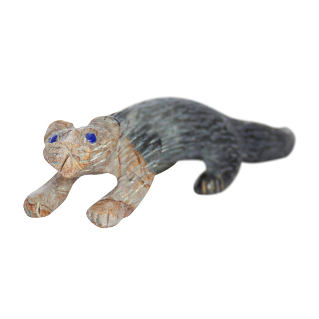 Cody Cheama Jasper Jaguar - Image 7
