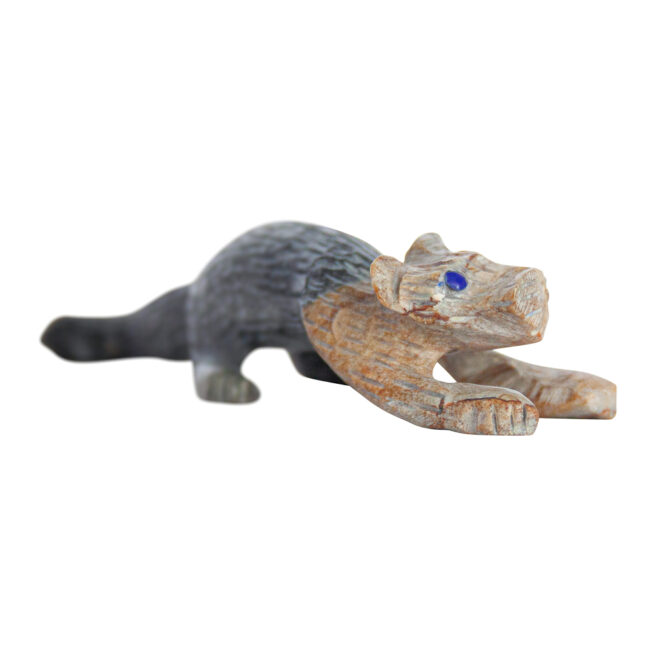 Cody Cheama Jasper Jaguar - Image 6