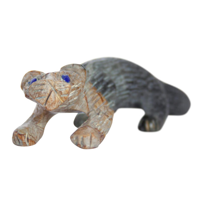 Cody Cheama Jasper Jaguar - Image 5