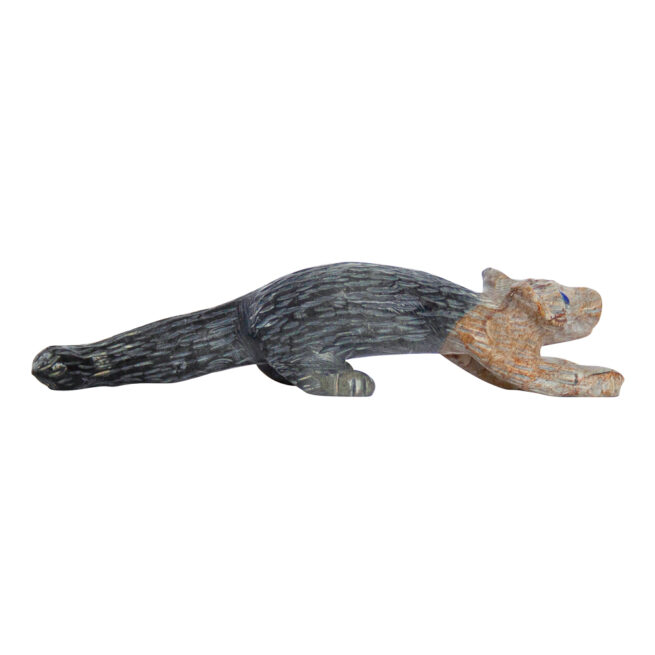 Cody Cheama Jasper Jaguar - Image 4