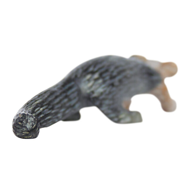 Cody Cheama Jasper Jaguar - Image 3
