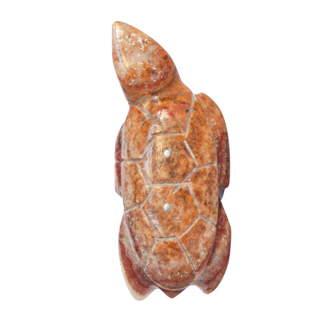 Kenny Chavez Brown Turtle - Image 5