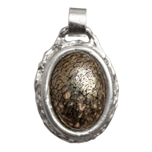 Agatised Dinosaur Bone Pendant
