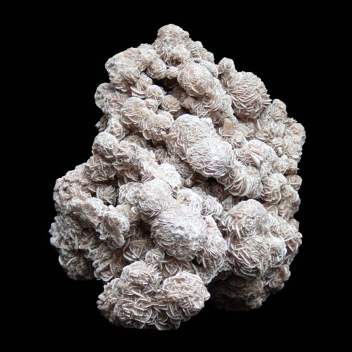 Large Desert Rose Cluster