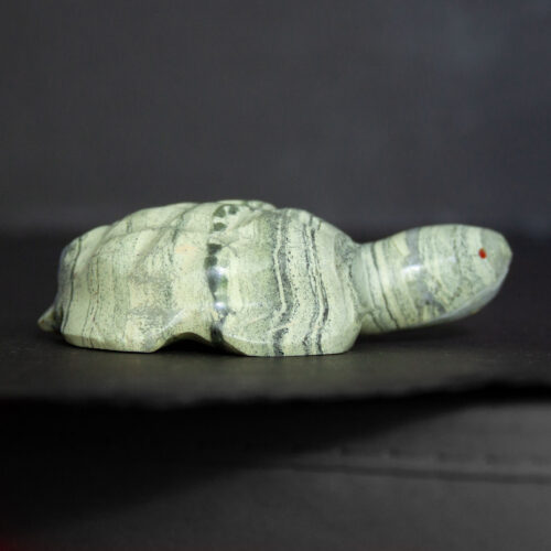 Daphne Quam Turtle Carving